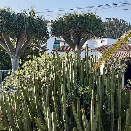 Casa Rural Los Dragos Fuencaliente de la Palma Esterno foto
