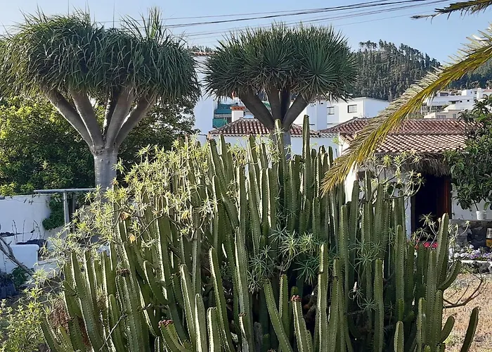 Casa Rural Los Dragos